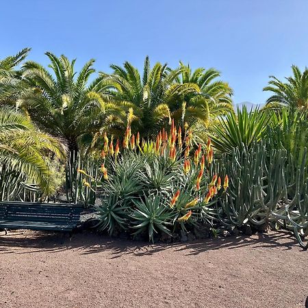 Hotel Tigaiga Puerto de la Cruz  Zewnętrze zdjęcie